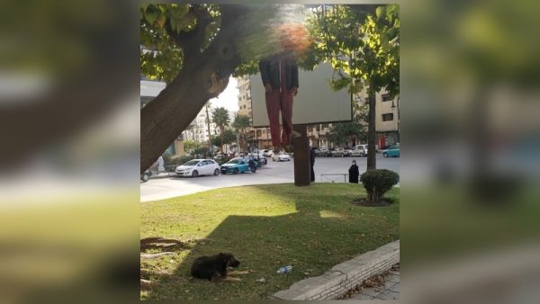 مشهد ضادم ،انتحار شخص شنقا أمام أنظار المواطنين،ووفاء كلبه