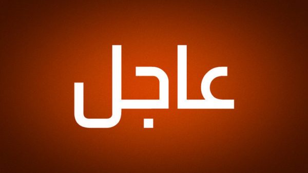 مصرع أكثر من  19 شخصا بينهم 9 أطفال في حريق بمبنى سكني بنيويورك الأمريكية (فيديوهات)
