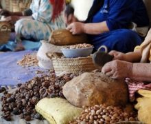 مجلس الحكومة يصادق على مشروع مرسوم بتحديد كيفيات منح التعاونيات الترخيص الاستثنائي بالتعامل مع الأغيار