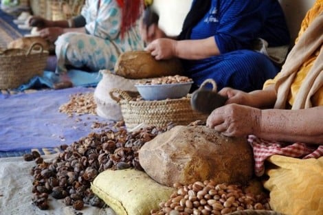 مجلس الحكومة يصادق على مشروع مرسوم بتحديد كيفيات منح التعاونيات الترخيص الاستثنائي بالتعامل مع الأغيار