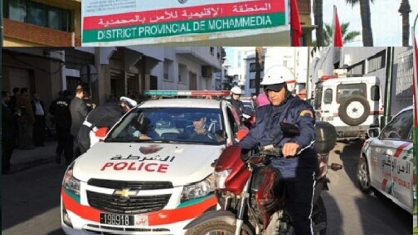 المحمدية ….اعتقال إفريقي ذبح بغلا  ببن سليمان وكان يود تسويق لحمه بالبيضاء