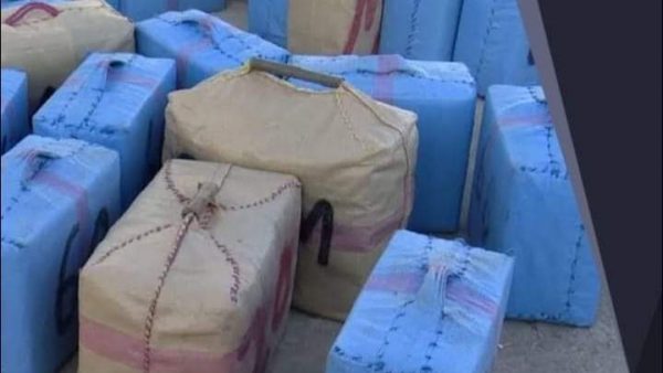 طنجة.. إجهاض عملية للتهريب الدولي للمخدرات وحجز طنين و98 كلغ من مخدر الحشيش (بلاغ)