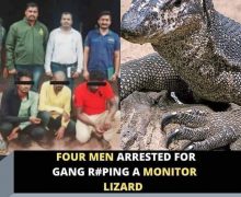 حقيقة لاتصدق …4 رجال يغتصبون سحلية ويقتلونها بالهند
