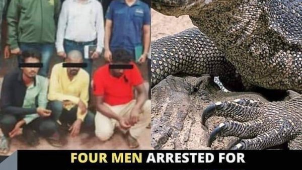 حقيقة لاتصدق …4 رجال يغتصبون سحلية ويقتلونها بالهند