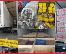 طنجة.. ضربة موجعة لمافيات المخدرات ، حجز شحنة قياسية تناهز 31 طنا و197 كيلوغرام من مخدر الحشيش ( صور