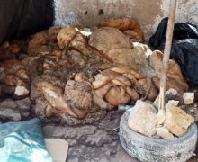 سطات …سكان يستغيتون، أنقدونا من الأزبال والحشرات السامة
