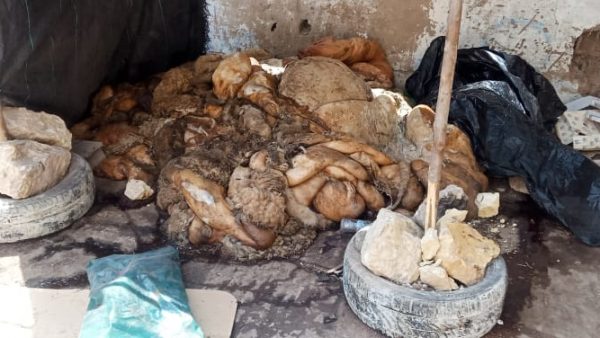 سطات …سكان يستغيتون، أنقدونا من الأزبال والحشرات السامة