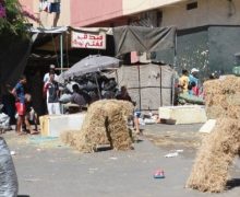 القنيطرة  …….الخيام البلاستيكية  المعدة لبيع لوازم عيد الأضحى  والمواشي تتحول لنقط لبيع المخدرات