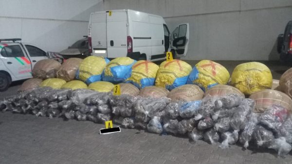 سطات…ضربة موجعة لأحد تجار المخدرات،حجز طن و150 كيلوغرام من التبغ  وسنابل الكيف