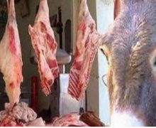بقايا حمار مذبوح تستنفر السلطة المحلية