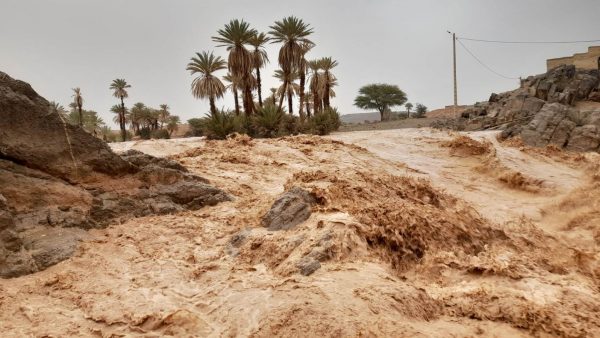 زاكورة … شهيد الواجب ، سيول جارفة تتسبب في وفاة دركي ونجاة زميليه بأعجوبة