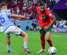 الريان القطري يقدم بوفال ( فيديو )