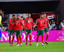 بعد الفوز على البرازيل.. أسود الأطلس يرحلون   لإسبانيا