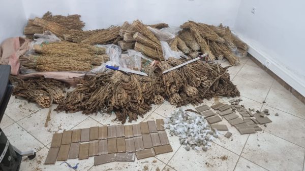 المحمدية ….عمليات تمشيطية للدرك الملكي  بغابة وادي نفيفيخ تسفر عن حجز كميات هامة من المخدرات ( صور )