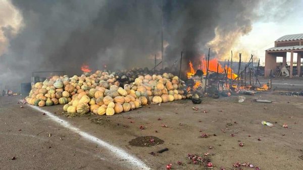 مراكش ….حــ.ــريــ.ــ.ـق مهول يلتهم دكاكين وسلع بسوق الجملة