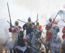 115 سربة وأزيد من ألفي فرس  في موسم مولاي عبد الله أمغار بإقليم الجديدة  ( بلاغ )