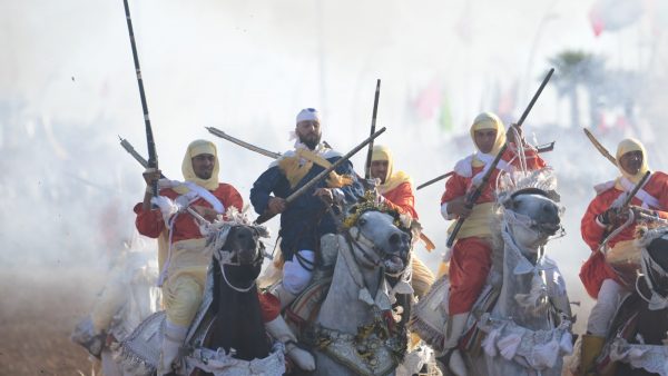 115 سربة وأزيد من ألفي فرس  في موسم مولاي عبد الله أمغار بإقليم الجديدة  ( بلاغ )