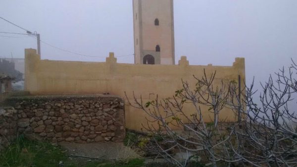 وزير الأوقاف يجيب على تساؤلات حول المساجد المغلقة ومراقبي ومتفقدي المساجد ورجال التعليم العتيق