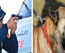 مراكش….رصاصة تنهي هجوم كلب على رجال الشرطة