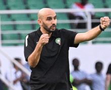 الركراكي يبرر إقصاء الأسود من كان الكوت ديفوار