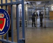 مقال فرانسيسكو كاريون، يعود  لأشخاص ومنظمات معروفين بخدمتهم لأجندات مناوئة للمصالح العليا للمملكة (السيد التامك)