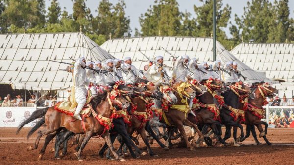 الدورة الـ 23 لجائزة الحسن الثاني لفنون الفروسية التقليدية .. إقصاء ثماني سربات (كبار) من الدور الأول