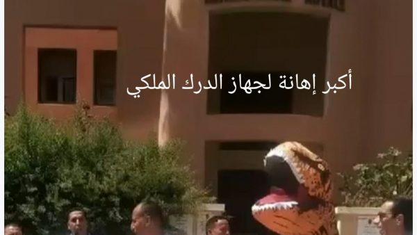 بعد إهانتهم لجهاز الدرك الملكي …منضمة حقوقية تتباكى على خلفية استدعاء أعضاء منها