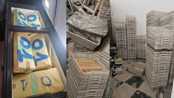 طنجة.. إجهاض عملية تهريب  نصف طن  من مخدر الشيرا