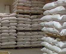 الناضور / جرسيف / بركان ….حجز 60 طن من الدقيق المدعم واعتقال 12 شخصا