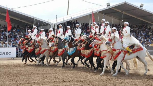 الجائزة الكبرى لصاحب الجلالة الملك محمد السادس للتبوريدة/ اليوم الثاني: سربة المقدم الحسين أكراض تنتزع صدار ة الترتيب المؤقت