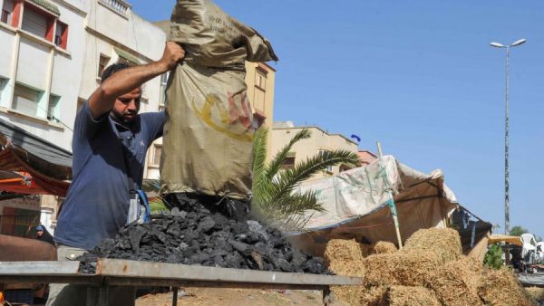 حضر جميع الأنشطة المتعلقة بعيد الأضحى