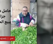 القوة الضاربة …دكتور يبيع البقدونس: قصة البطالة التي تفزع  الجزائريين ( فيديو )