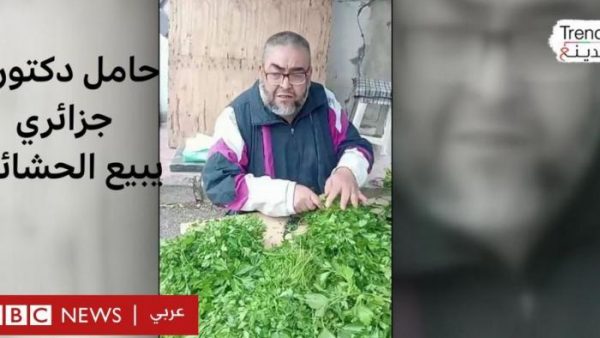 القوة الضاربة …دكتور يبيع البقدونس: قصة البطالة التي تفزع  الجزائريين ( فيديو )