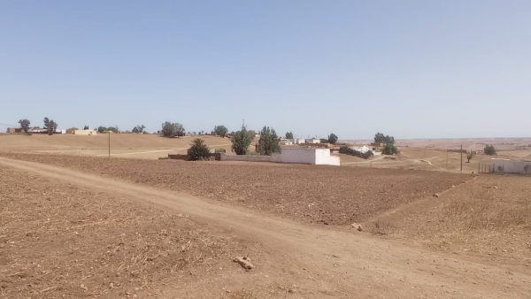 إقليم بن أحمد …في عز الصيف  سكان لبهالة أولاد سيدي علي يعانون  العطش بعد  انقطاع المياه