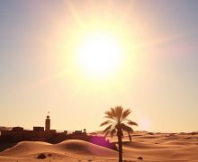 (نشرة إنذارية) موجة حر  لمدة 3 أيام بعدد من مناطق المملكة (نشرة إنذارية)