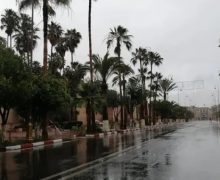 موجة حر وزخات رعدية مصحوبة بالبرَد وبهبات رياح مرتقبة لمدة أربعة أيام  بعدد من مناطق المملكة (نشرة إنذارية)