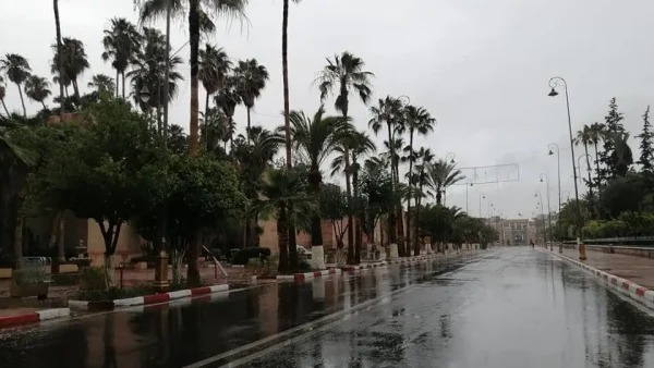 موجة حر وزخات رعدية مصحوبة بالبرَد وبهبات رياح مرتقبة لمدة أربعة أيام  بعدد من مناطق المملكة (نشرة إنذارية)