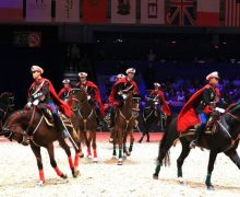 الدورة الـ 16 من معرض الفرس للجديدة من 30 شتنبر إلى 5 أكتوبر المقبل بمدينة الجديدة