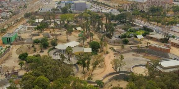 مجلس جماعة الدار البيضاء يقرر فتح حديقة الحيوانات عين السبع نهاية شهر دجنبر الجاري