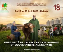 مكناس .. الإعلان عن تاريخ  تنظيم الملتقى الدولي للفلاحة