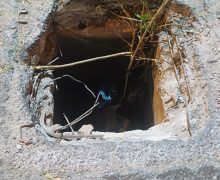 موظف جماعي ومدير الشركة المتعددة الخدمات بالمحمدية ينقدان  العديد من الأرواح