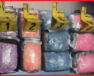 ميناء طنجة ….ضيط سيارة محملة ب 19 ألفا و100 قرصا مهلوسا قادمة من دولة أوروبية