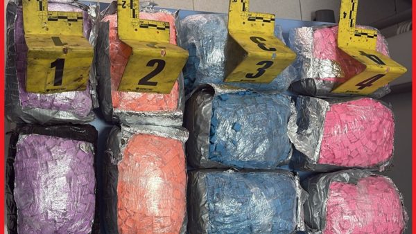 ميناء طنجة ….ضيط سيارة محملة ب 19 ألفا و100 قرصا مهلوسا قادمة من دولة أوروبية