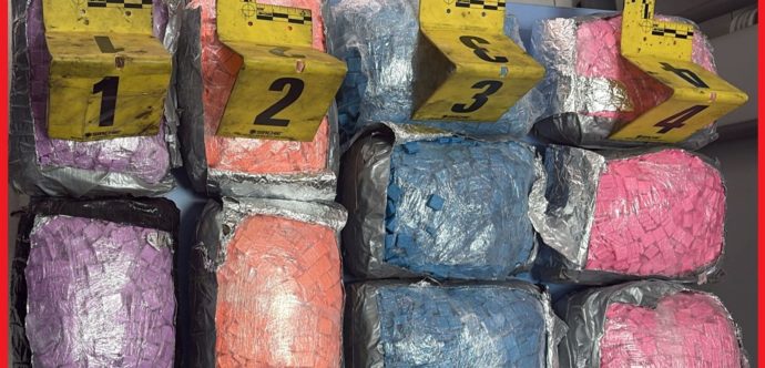 ميناء طنجة ….ضيط سيارة محملة ب 19 ألفا و100 قرصا مهلوسا قادمة من دولة أوروبية