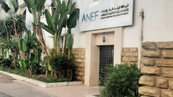  وقفة احتجاجية  يوم الخميس 23 أبريل 2026 أمام مقر الوكالة الوطنية للمياه والغابات