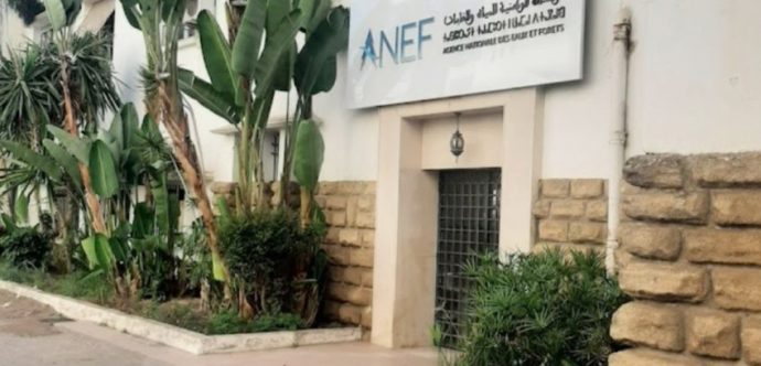  وقفة احتجاجية  يوم الخميس 23 أبريل 2026 أمام مقر الوكالة الوطنية للمياه والغابات