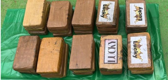 طنجة …حجز 33 كيلوغرام من الكوكايين كانت قادمة من الإكوادور في اتجاه إيطاليا