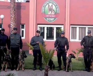 فرقة أمنية من مالي تحل بالمغرب  للخضوع لدورة تكوينية للتدريب على الكلاب المدربة للشرطة