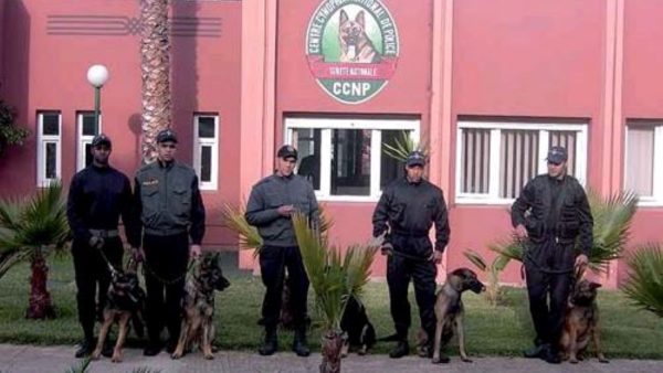 فرقة أمنية من مالي تحل بالمغرب  للخضوع لدورة تكوينية للتدريب على الكلاب المدربة للشرطة