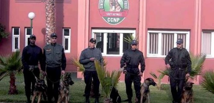 فرقة أمنية من مالي تحل بالمغرب  للخضوع لدورة تكوينية للتدريب على الكلاب المدربة للشرطة
